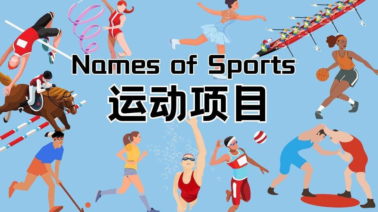 外部受众
